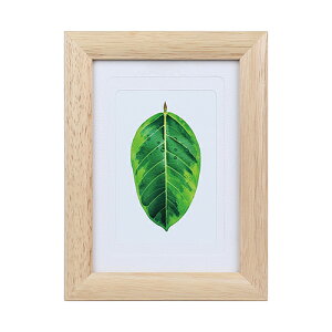 yzzKenko ʐ^ S̖ i` PS-GM-NA PR[gLi[ KENKO TOKINA