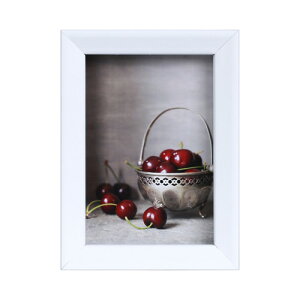 �y���z�zKenko �ʐ^���� �x���W�F �z���C�g L�T�C�Y PS-BE-L-WH �P���R�[�g�L�i�[ KENKO TOKINA
