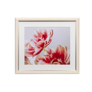 【即配】UVカットアクリル額縁 グレイスメロウMiu(ミウ) 四切 アイボリー JGM-4-IV ケンコー KENKO フォトフレーム