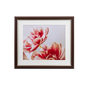 【即配】UVカットアクリル額縁 グレイスメロウMiu(ミウ) 四切 ブラウン JGM-4-BR ケンコー KENKO フォトフレーム