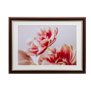 【即配】UVカットアクリル額縁 グレイスメロウMiu(ミウ) ワイド四切/A3兼用 ブラウン JGM-W4-BR ケンコー KENKO 【送料無料】 フォトフレーム