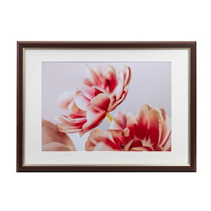 【即配】UVカットアクリル額縁 グレイスメロウMiu(ミウ) A3/B3兼用 ブラウン JGM-A3-BR ケンコー KENKO 【送料無料】フォトフレーム