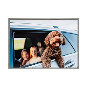 �y���z�z�A�~�l�I�E�O�����f Amineo grande A3 �O���[ AAG-A3-GRY �P���R�[ KENKO �y���������z