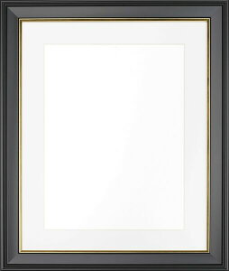 �y���z�zNEW�ё��z�����R A4�T�C�Y JSI-A4 �P���R�[�g�L�i�[ KENKO TOKINA