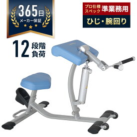 油圧GYMマシン 準業務用 アームエクステンション/カール トレーニング フィットネス 上腕二頭筋 上腕三頭筋 二の腕 たるみ解消 12段階負荷 トレーニングマシン 健康器具 DAIKOU ダイコー DK-678