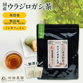 布袋農園 ウラジロガシ茶 うらじろがし 4g入り ティーバッグ 12包 30包 国産 無農薬 野生種 無添加（保存料・香料・着色料） 国産 健康茶 ノンカフェイン 国内製造 カテコナールタンニン フラボン 送料無料