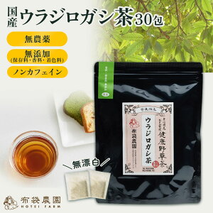 y15|Cg10{zzܔ_ EWKV 炶낪 4g eB[obO 12 30 Y _ 쐶 YiۑEEFj Y N mJtFC  JeR