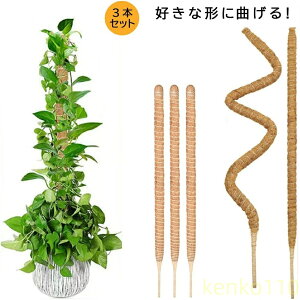 yzwSx 3{Zbg |x DȌ`ɋȂ U x t[X^h Ԏx ϗtAXe x wSx鐫A RRXeBbNx AT|[g ێ ?