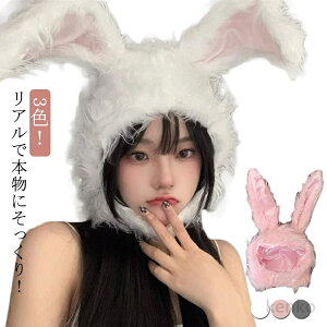 yzRX`[ nEB ETM  蕨   ӂ RXv C[X^[ sN ӂ Ԃ  Ԃ    oj[