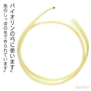 yz`F oCI|  ւ nѐ oCI |̖ёւp n oCI 悢F oCI yANZT rI C ёւ oCI| 2s[XZbg