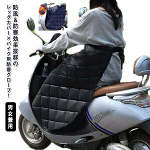 yzbOJo[ h oCN uPbg Ђ| h XN[^[ Jo[ bOEH[}[ G| O[ut h h {A J ȓ hObY hGv