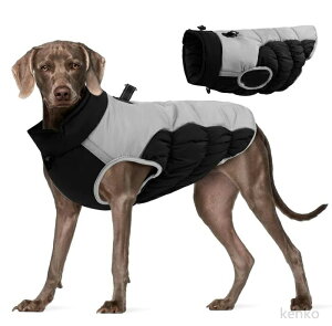 yz  WPbg hbOEFA h  ̕ EFA nClbN Wp[ R[g ȓ {A ybgEFA ybgpi ^ ^ ~ H~