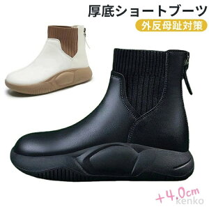 yzV[gu[c O  u[c fB[X 炩 TChSAu[c t H ~  L wl C fB[X V[Y V[gu[c RtH[g