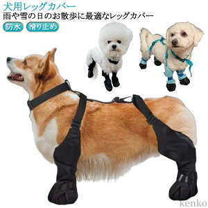 TXy_[t Cpc ی ~ pu[c  EȂ ̌C Ol{pc  h~ ~J U ߉\ o EȂ