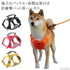 hbOpi JWA ^ p n[lX [h 킢 ybgpi ̃[h hՌ ybg  Ȃ  U nht ߉\ n[lX