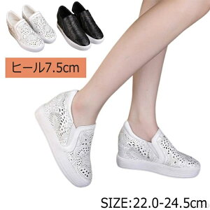 yz{v ɂȂ fB[X  Xj[J[ EFbW\[ Xb| Cq[Xb| Cq[ Cq[Xj[J[ Xj[J[ y