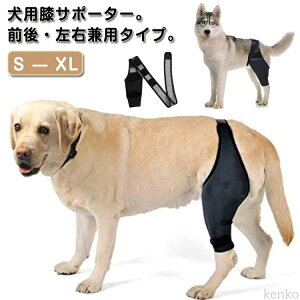 yzŒ s⏕ ֐߃veN^[ ybgpi O㍶Ep V p x T|[^[ ֐ߕی veN^[  G PApi  EP  둫 O ܎