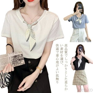 yzVc 傫TCY 30   rWlXX[c ItBX ꂢ  􂦂 Ci[ ʋ fB[X  i ̓ JWA v[g 50