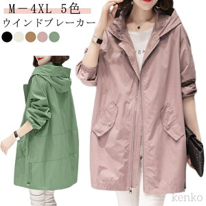 yzfB[X t H fB[X R[g t[ht 30 XvOR[g AE^[ JWAR[g EChu[J[ sN OR[g ̌^Jo[ 40