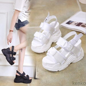 yzT_ fB[X [X WbvAbv Wbp[ T_ q[6.5cm q[T_ I[vgD EFbW\[