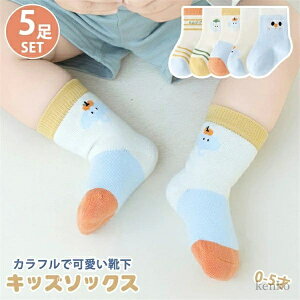 yzC 5Zbg ct ʉ Aw ̎q j̎q LbY  XgCu 5g 0-5 q ʊw t H \bNX  Rbg