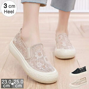 yz[XXb| fB[X  Xj[J[ V[Y [X TChSA 3cmq[ [q[ y y ɂȂ ₷ ɂ