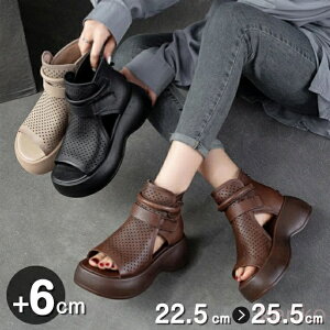 yzu[cT_ T}[u[c fB[X T_ 6cmq[ p`O bV ʋC V[gu[c ₷ Ȃ T_