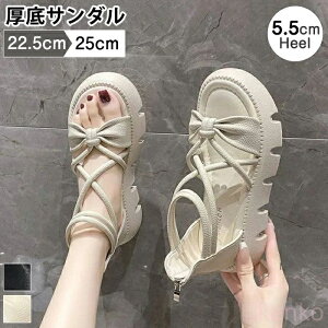 yzT_ XgbvT_ fB[X { 5.5cmq[ OfBG[^[T_ NXXgbv ؍ r ₷ ɂ