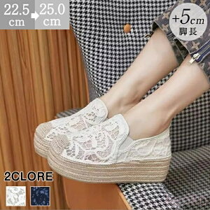 yzbVXb| GXph[ fB[X  vbgtH[ [X Xj[J[ 5cmq[ ₷ ₷ ɂȂ y 