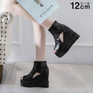 yzT_ EGbW\[ C T_ fB[X T}[u[c ɂ nCq[ Cq[ \[ I[vgD q[12cm