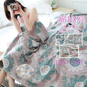 yzK[[Pbg ^IPbg QPbg 100 5d K[[ ^IPbg xr[Pbg Ԃ 􂦂 ԕ oX^I Vv qp