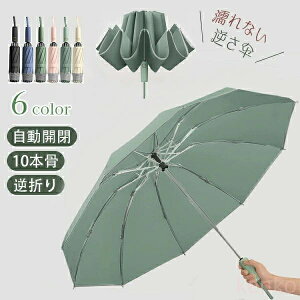 yz] 傫 tP ܂肽 J t Jp ݃J[ ^b` ܂ 10{ ܎P oX ʊw ʋ ubN