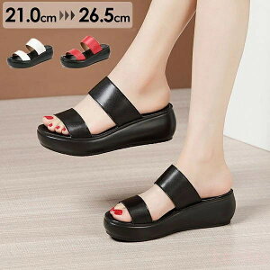 yzɂȂ ₷ r ɂ EFbW\[ T_ ~[ TCY  T_ Xg[ 3colors q[6cm