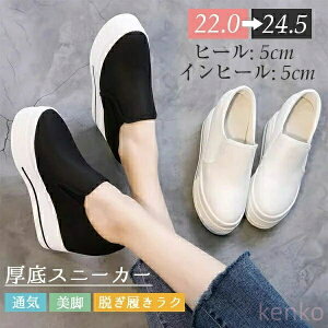 yzɂȂ ₷ r ɂ Xj[J[ Cq[ 5cm  TCY 傫TCY [t@[  fB[X Xb| ʋC