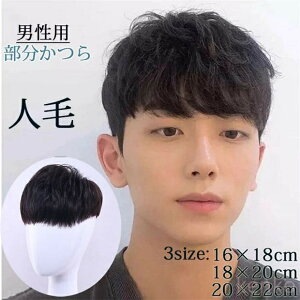 【送料無料】部分ウィッグ メンズウィッグ かつら ヘアピース メンズ 人毛 ナチュラルブラック ポイントウィッグ 付け毛 脱毛症 薄毛 白髪隠れ トップカバー