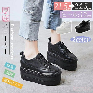 yzXj[J[ 12cm fB[X 10cmȏ y [XAbv ҂ݏグ R Xj[J[ Vv Cq[