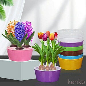 yz2Zbg̃`[bvk|bg 5̃`[bvkpt[|bg _J[iԂ܂܂Ȃj