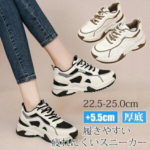 yzfB[X EH[LOV[Y  Xj[J[ q[5.5 V[Y _bgXj[J[ C JWAV[Y Xj[J[