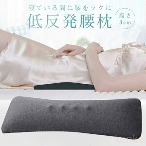 【送料無料】安 腰痛対策クッション 寝る時 プレゼント 低反発マット 低反発腰まくら 就寝用 腰痛改善【整体師監修】グッズ 腰枕 クッション