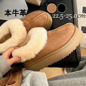 yz[gu[c V[g fB[X t@[u[c {A  [V[Y tbgq[ ɂ ۉ h ~ H C Xb| JV t@[