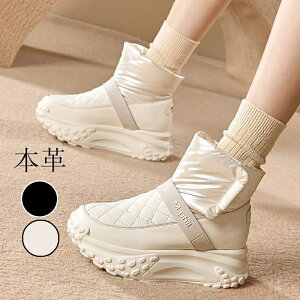 yzXm[u[c fB[X N h V[gu[c {AV[Y fB[X u[c h ۉ h΍ Xm[V[Y ~C EB^[ hC 