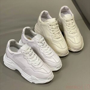 yzC Xj[J[  V[Y fB[XI X|[eB[ N[ YCN  l  x[W lq N[ 22cm 22.5cm 23cm 23.5c