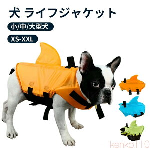 yz CtWPbg p hbO ybg STCY S S ^ ybgpi ~ ybgWPbg j̗Kpi  ₷ V CV