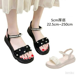 yz 5cm T_ p[  T_ Ȃ ₷ ₷ y AEghA CV  傫TCY 