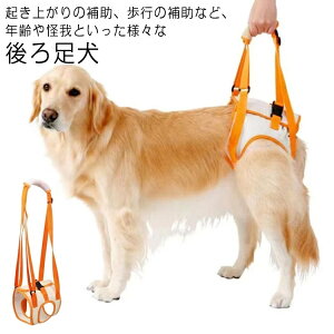 yz v[g s ړ U ^ pi s⏕ 둫 dog hbO Ȃ ^ ^ ȒP K  PApi ⏕ ^ V ybg p  n[lX n
