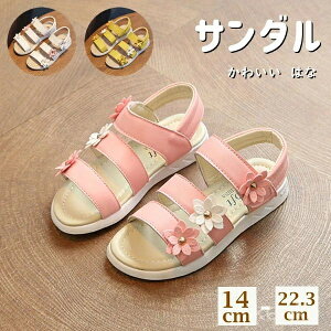 yz\  14-22.3cm WjA q 炩 LbYV[Y ₷ t[`[t ɂȂ tH[}V[Y