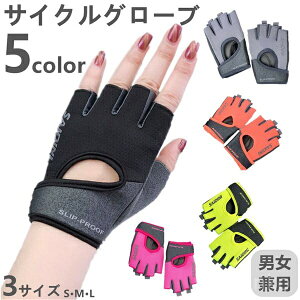 yzH  t  wȂ w wʂ w؂  TCNOO[u NXoCN [hoCN ] n[ttBK[ u