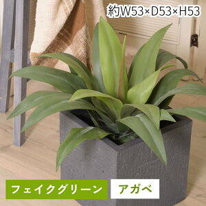 tFCNO[ AKx ϗtA lHϗtA t  CeA  O[ [t  K[f  