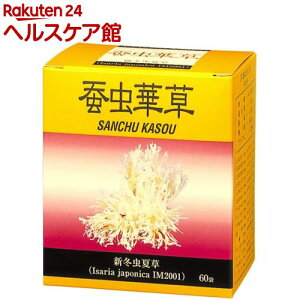 エヌアンドピー 蚕虫華草 新冬虫夏草(1.5g*60袋入)【エヌアンドピー】