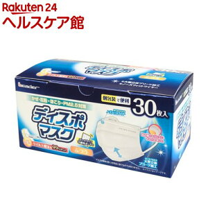 リーダー ディスポマスク ふつう 個包装(30枚入)【リーダー】